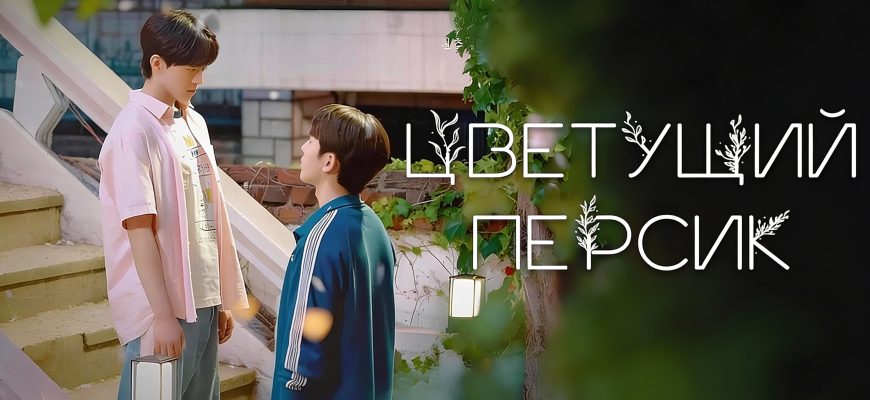 Цветение персика (2025)